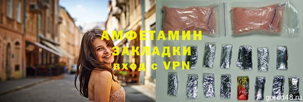 молекула духа Богородицк