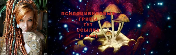 spice Белокуриха