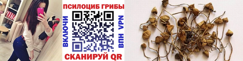 Псилоцибиновые грибы мухоморы  Белинский 